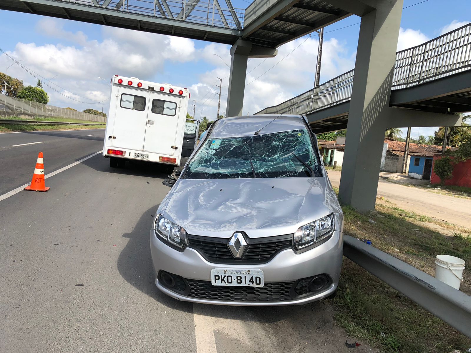 Motorista Tenta Desviar De Cachorro Morto Na Pista E Acaba Capotando