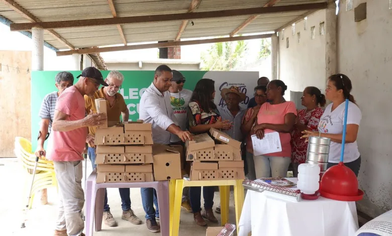 Prefeitura De Santo Amaro Realiza Entrega De Kits Produtivos De Galinha