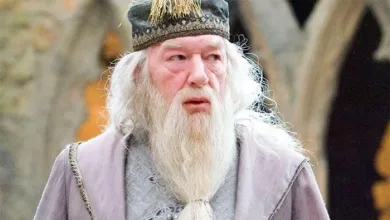 Michael Gambon, interprete de Dumbledore em 'Harry Potter', morre aos 82 anos. Foto: Reprodução