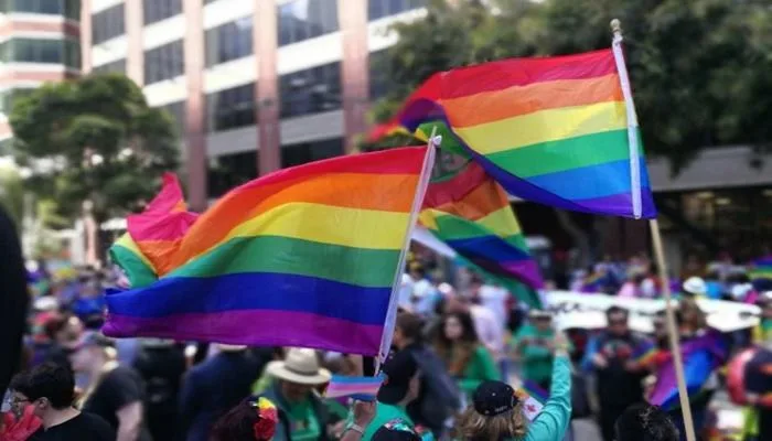 Prefeitura de Santo Amaro realiza Semana da Diversidade e 12ª Parada do Orgulho LGBTQIAPN+. Foto: Reprodução/ Internet