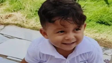 Menino de 2 anos morre após ser atropelado enquanto brincava — Foto: Reprodução/Redes sociais