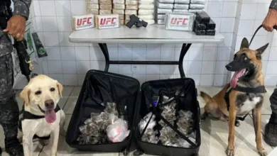 Operação policial apreende 71 kg de pasta base de cocaína