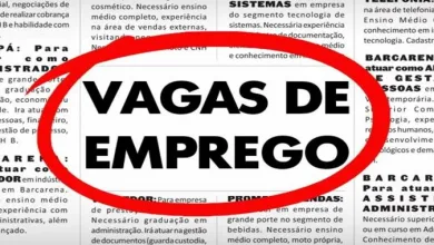 OPORTUNIDADE: Empresa disponibiliza vaga de emprego em Amélia Rodrigues; confira- Foto; Reprodução/ Internet