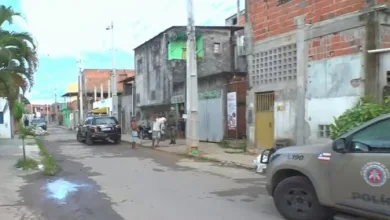 Mandados de busca e apreensão são cumpridos durante operação em combate ao contrabamdo de animais na Bahia — Foto: Reprodução/TV Bahia
