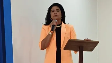 Vereadora Sandra Gomes durante sessão - Foto: Acervo pessoal