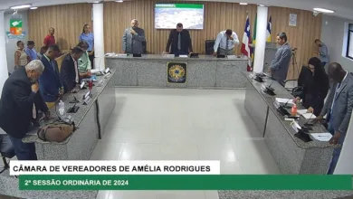 2ª Sessão Ordinária da Câmara Municipal de Amélia Rodrigues-Foto: Reprodução/ Vídeo