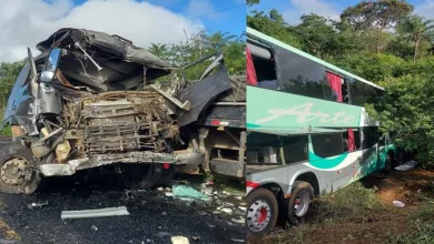 Motorista de ônibus morre após batida com caminhão em rodovia- Foto: Reprodução/Redes Sociais
