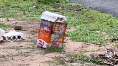 Cabeça humana é encontrada dentro de lata em bairro que enfrenta onda de violência no subúrbio de Salvador- Foto: Reprodução