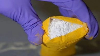 Cerca de 150 quilos de cocaína foram apreendidos pelas autoridades da Itália - Foto: Reprodução/AFP
