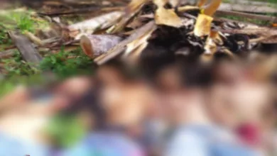 CHACINA: Corpos de quatro jovens são encontrados com mãos amarradas e sinais de violência- Foto: Reprodução