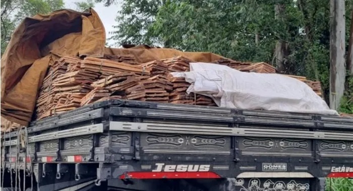 Caminhão com madeira serrada - Foto: Divulgação / GOV.BR