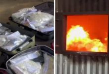 Quase 500 quilos de drogas foram apreendidas e incineradas durante a Operação Nárke Foto: Divulgação/PC