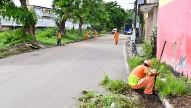 Prefeitura de Santo Amaro realiza mutirão de limpeza às margens do Rio Subaé - Foto: Reprodução/ASCOM