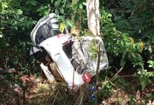 Carro bateu em árvore na BR-101 — Foto: Redes sociais