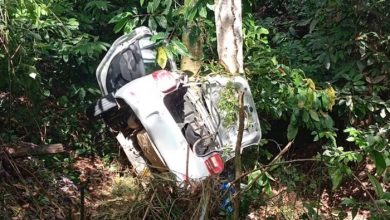 Carro bateu em árvore na BR-101 — Foto: Redes sociais