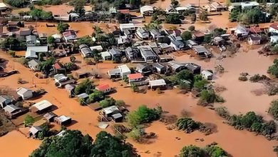 Chuvas no Rio Grande do Sul devem causar alta de preços de alimentos; entenda - Foto: Reprodução